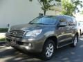 2010 Lexus GX 460 2010 Lexus GX 460