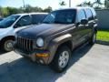 2002 Jeep Liberty Limited 4x4