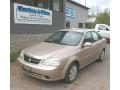 2008 Suzuki Forenza 2008 Suzuki Forenza