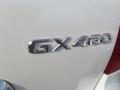 2010 Lexus GX 460 Photo 18