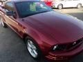2007 Ford Mustang V6 Premium Coupe Photo 22