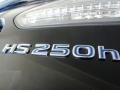 2010 Lexus HS 250h Hybrid Premium Photo 23