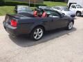 2007 Ford Mustang GT Premium Convertible Photo 10