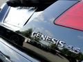 2010 Hyundai Genesis 4.6 Sedan Photo 18