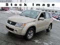 2006 Suzuki Grand Vitara 2006 Suzuki Grand Vitara