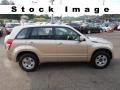 2007 Suzuki Grand Vitara 4x4