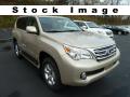 2012 Lexus GX 460 2012 Lexus GX 460