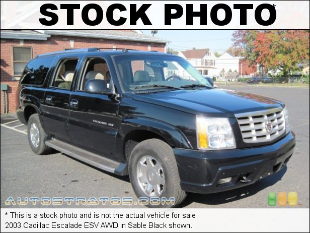 Stock photo for this 2003 Cadillac Escalade ESV AWD 6.0 Liter OHV 16-Valve V8 4 Speed Automatic Stock photo for this 2003 Cadillac Escalade ESV AWD 6.0 Liter OHV 16-Valve V8 4 Speed Automatic