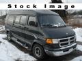 2001 Dodge Ram Van 1500 Passenger 2001 Dodge Ram Van 1500 Passenger