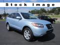 2007 Hyundai Santa Fe SE 4WD