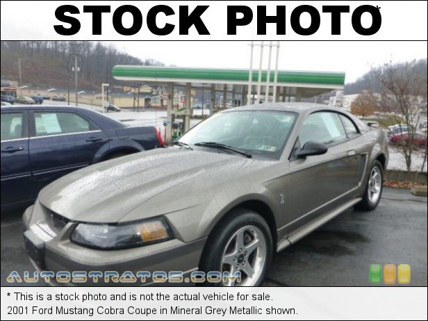 Stock photo for this 1999 Ford Mustang SVT Cobra Coupe 4.6 Liter SVT DOHC 32-Valve V8 5 Speed Manual Stock photo for this 1999 Ford Mustang SVT Cobra Coupe 4.6 Liter SVT DOHC 32-Valve V8 5 Speed Manual
