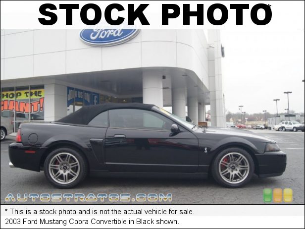Stock photo for this 2003 Ford Mustang Cobra Convertible 4.6 Liter SVT Supercharged DOHC 32-Valve V8 6 Speed Manual Stock photo for this 2003 Ford Mustang Cobra Convertible 4.6 Liter SVT Supercharged DOHC 32-Valve V8 6 Speed Manual