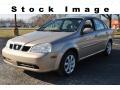 2006 Suzuki Forenza Sedan 2006 Suzuki Forenza Sedan