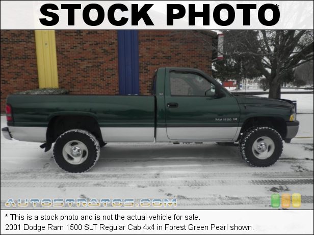 Stock photo for this 2001 Dodge Ram 1500 Regular Cab 4x4 5.9 Liter OHV 16-Valve V8 4 Speed Automatic