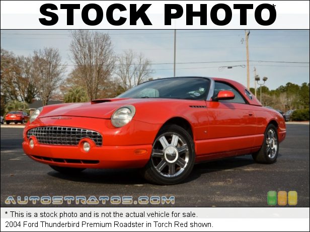 Stock photo for this 2004 Ford Thunderbird Roadster 3.9 Liter DOHC 32-Valve V8 5 Speed Automatic
