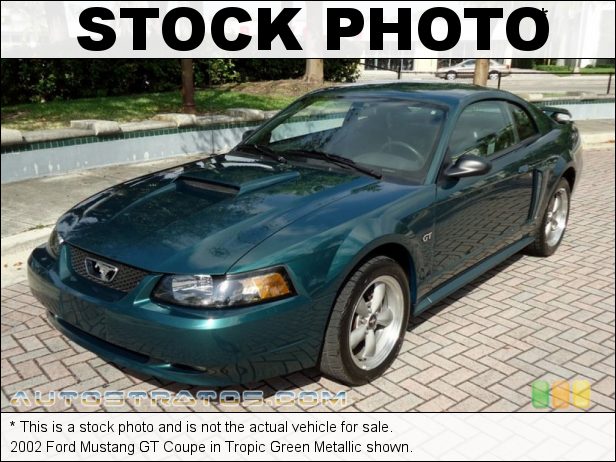 Stock photo for this 2002 Ford Mustang GT Coupe 4.6 Liter Roush Supercharged SOHC 16-Valve V8 4 Speed Automatic