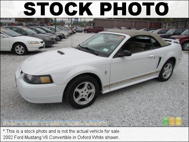 Stock photo for this 2002 Ford Mustang V6 Convertible 3.8 Liter OHV 12-Valve V6 4 Speed Automatic